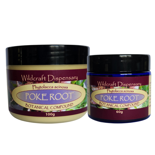 Wildcraft Dispensary Poke Root Herbal Ointment 60g